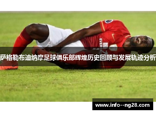 萨格勒布迪纳摩足球俱乐部辉煌历史回顾与发展轨迹分析