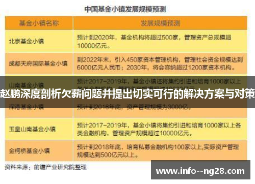 赵鹏深度剖析欠薪问题并提出切实可行的解决方案与对策